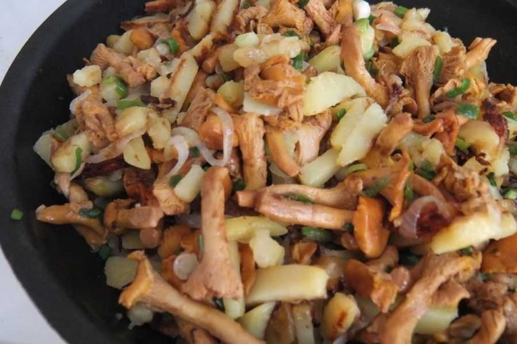 Fried Potatoes with Chanterelles and Chicken in a Skillet
