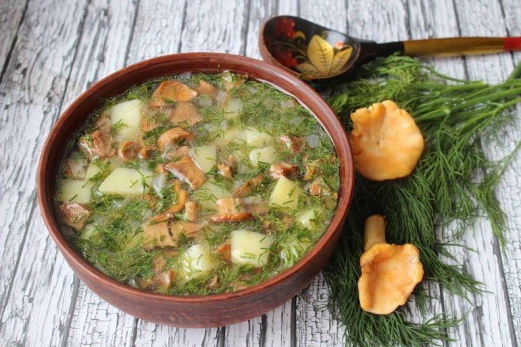 Sopa de níscalos con hierbas