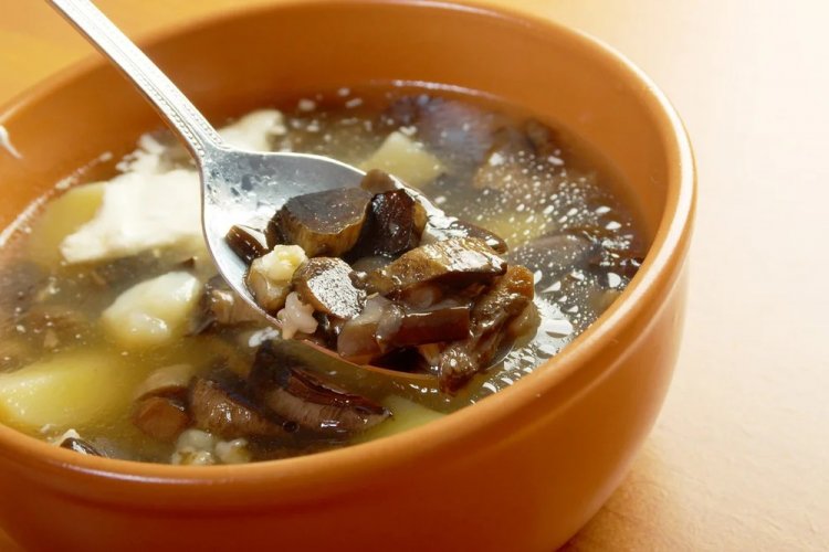 Sopa de níscalos encurtidos con arroz