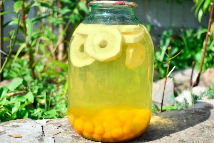 Zucchini with Cherry Plums like Pineapples for Winter