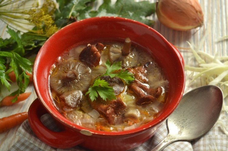 Chanterelle Mushroom Soup with Cabbage