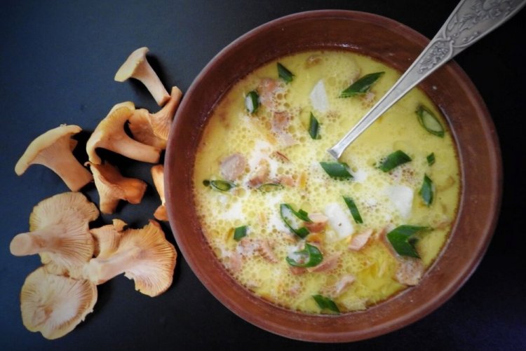 Chanterelle Mushroom Soup with Cream
