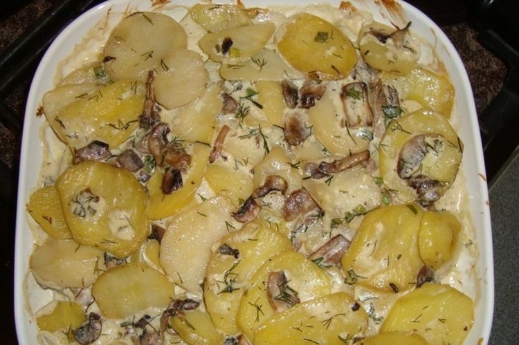Fried Potatoes with Mushrooms in Sour Cream