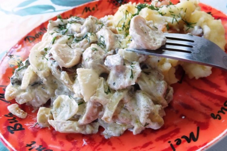 Fried Potatoes with Slippery Jack Mushrooms in Sour Cream