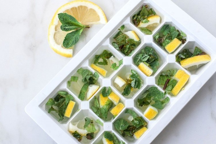 Té de menta congelado con limón