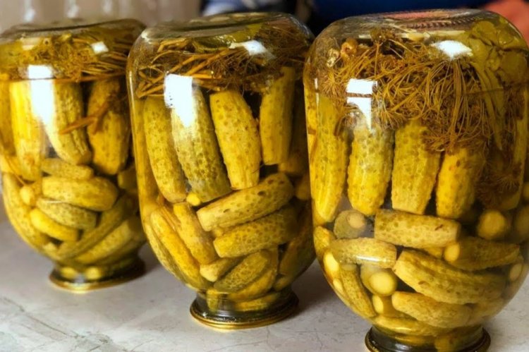 Crunchy Cucumbers for Winter Without Sterilization