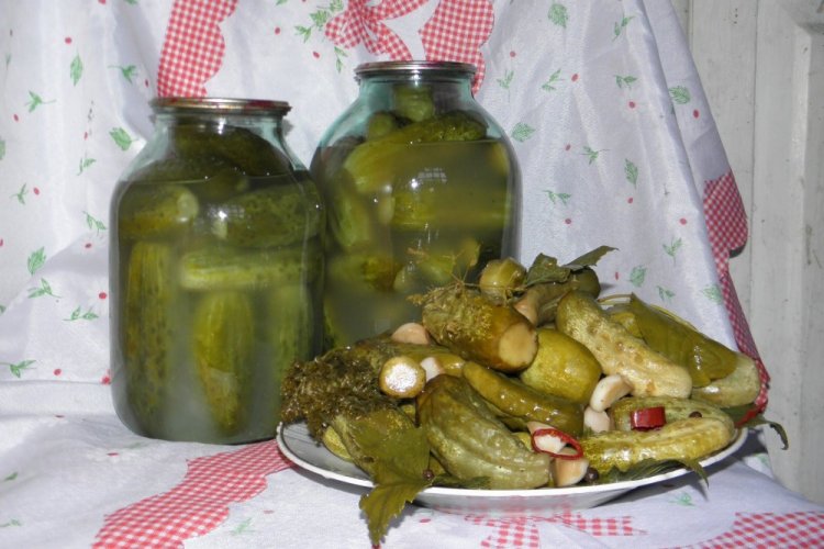Fermented Cucumbers for Winter