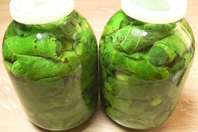 Cucumbers in Horseradish Leaves for Winter Without Sterilization