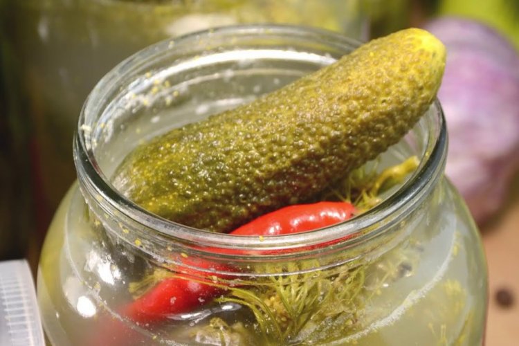 Salted Cucumbers (Cold Method) for Winter