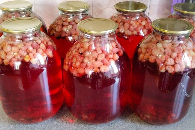 Wild Strawberry Compote for Winter