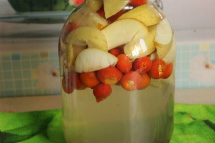 Rosehip and Apple Compote for Winter