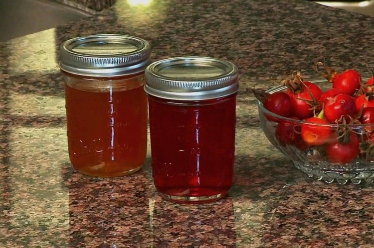 Rosehip Syrup for Winter
