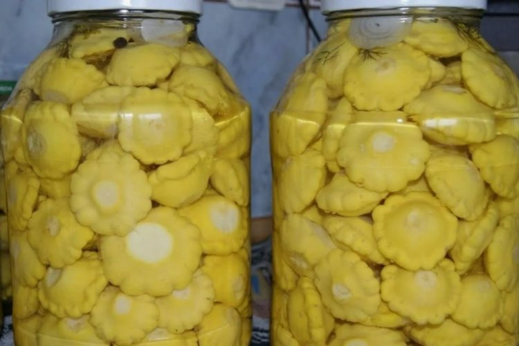 Whole Pattypan Squash Like Milk Cap Mushrooms for Winter