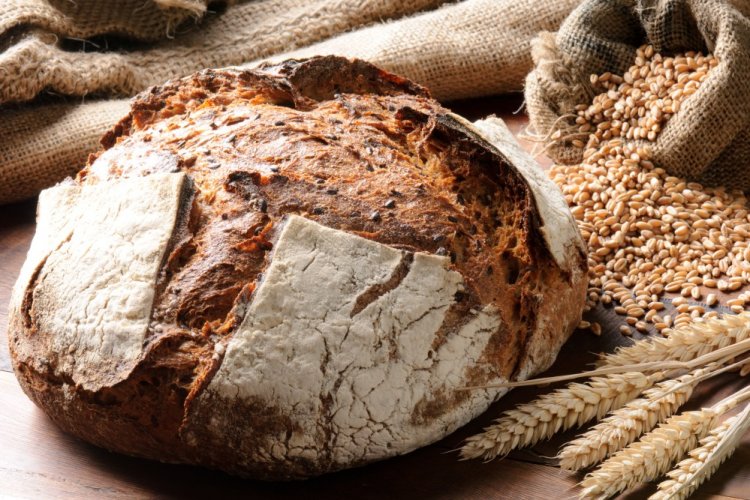 Whole Wheat and Wheat Flour Bread with Yogurt