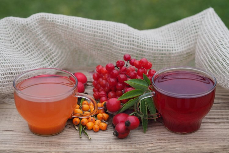 Rosehip, Lingonberry, and Sea Buckthorn Compote