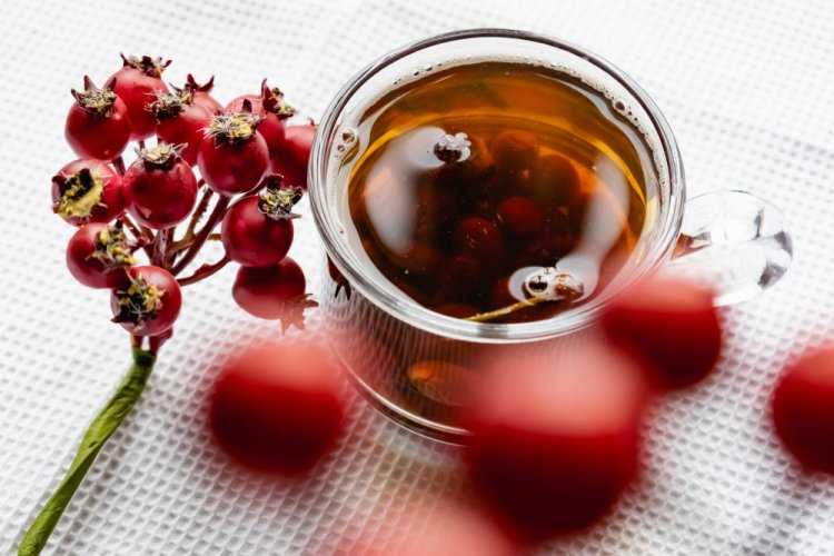Dried Rosehip Compote