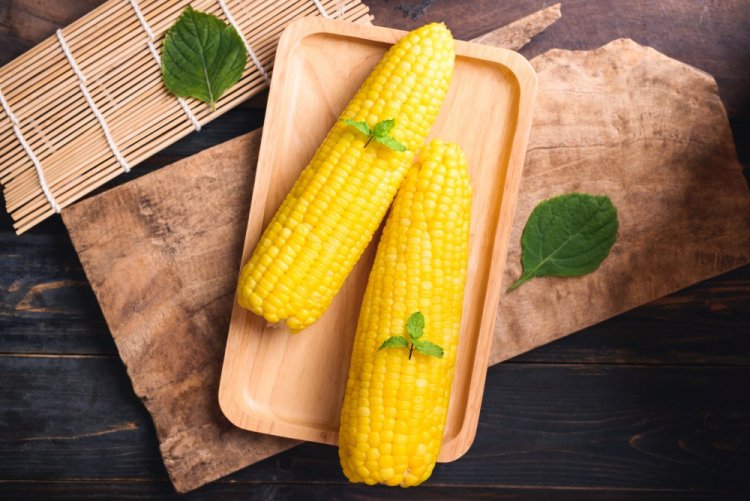 Boiled Corn in a Multicooker