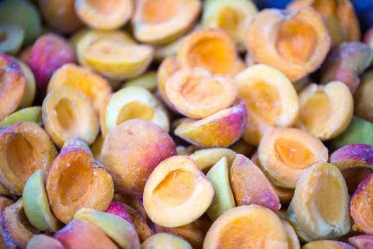 Frozen Apricots in Containers for Winter