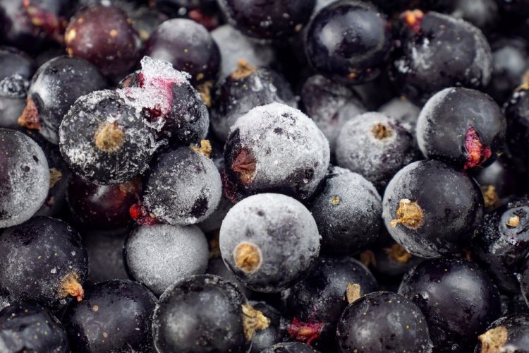 Whole Frozen Currants