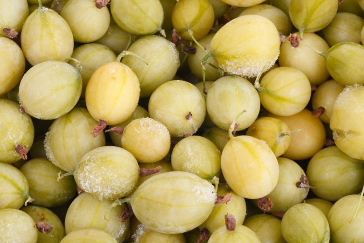 Whole Frozen Gooseberries