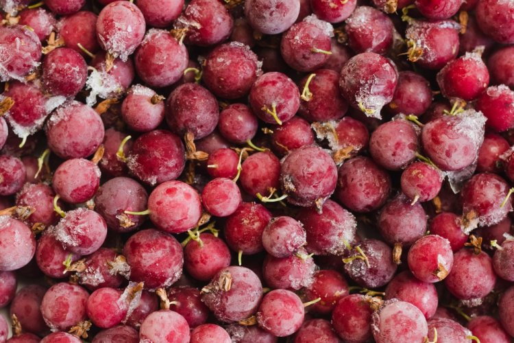 Frozen Gooseberries in Zip-Top Bags for Winter