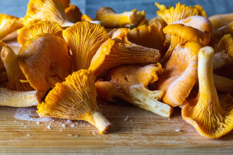 Frozen Boiled Chanterelles