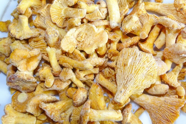 Frozen Chanterelles in Zip-Top Bags