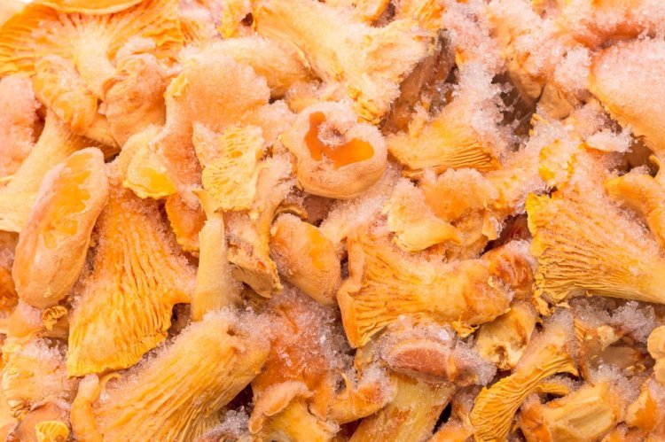 Frozen Chanterelles in Mushroom Broth