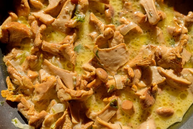 Chanterelles with Onions in Sour Cream