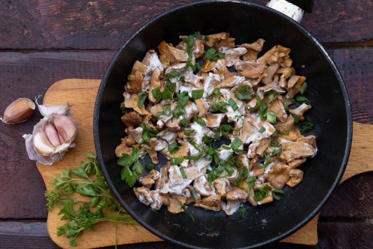 Chanterelles in Sour Cream without Onions