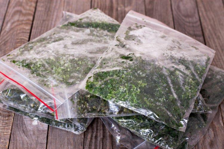 Eneldo congelado en bolsas de plástico para el invierno