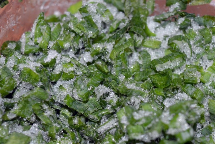 Frozen Green Onions in a Bottle for Winter