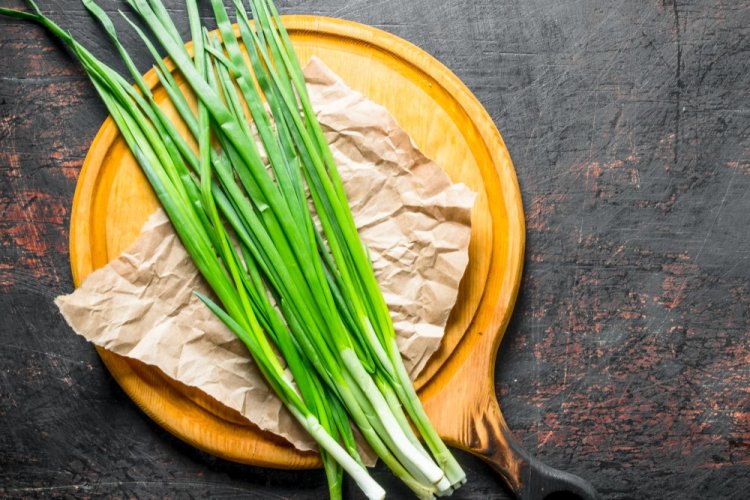 Frozen Whole Green Onion Scallions for Winter