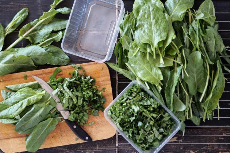 Frozen Sorrel in Portion Containers