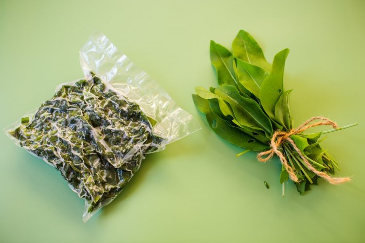 Frozen Sorrel in Bags for Winter