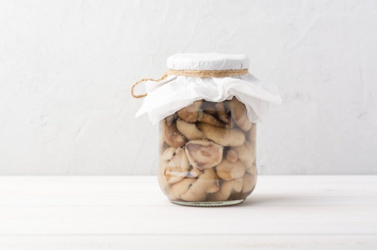 Pickled Blewits with Vinegar for Winter