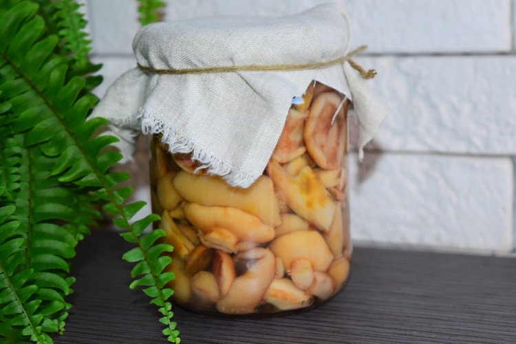 Pickled Blewits with Citric Acid for Winter