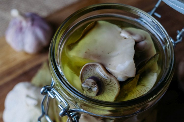 Pickled Blewits with Apple Cider Vinegar for Winter