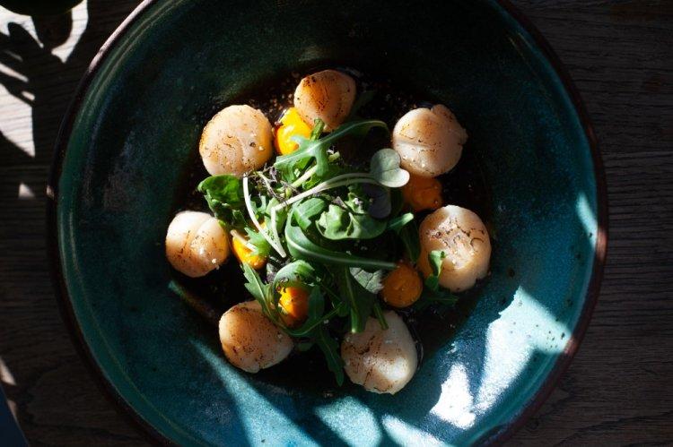 Scallop and Quail Egg Salad
