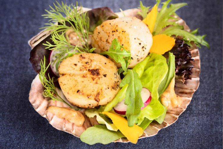 Scallop and Radish Salad