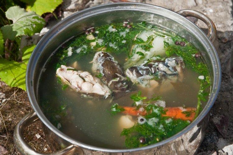 Ukha de carpa a la hoguera