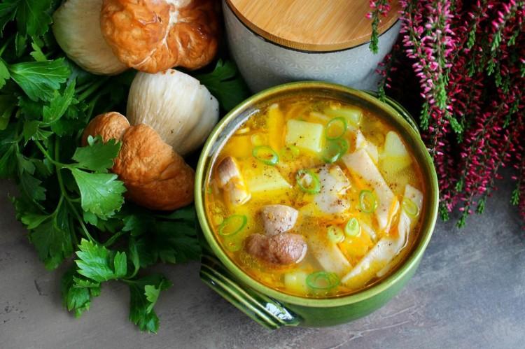 Sopa de setas de boletus: 15 de las recetas más deliciosas