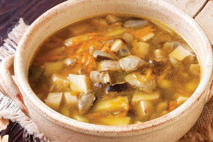 Sopa de boletus congelados - recetas
