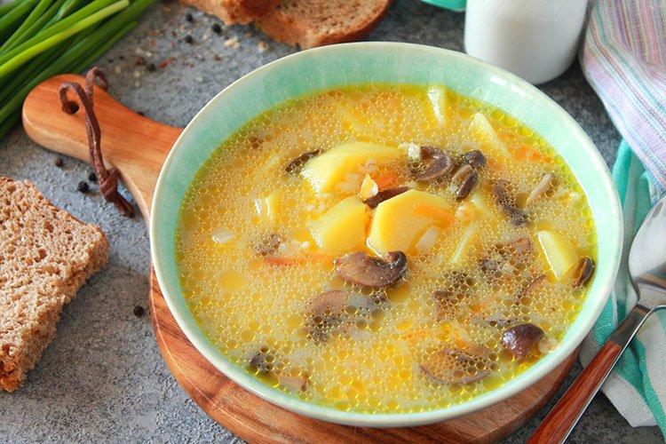 Crema de champiñones - recetas