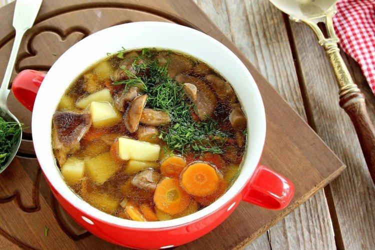 Mushroom Soup in a Multicooker - Recipes