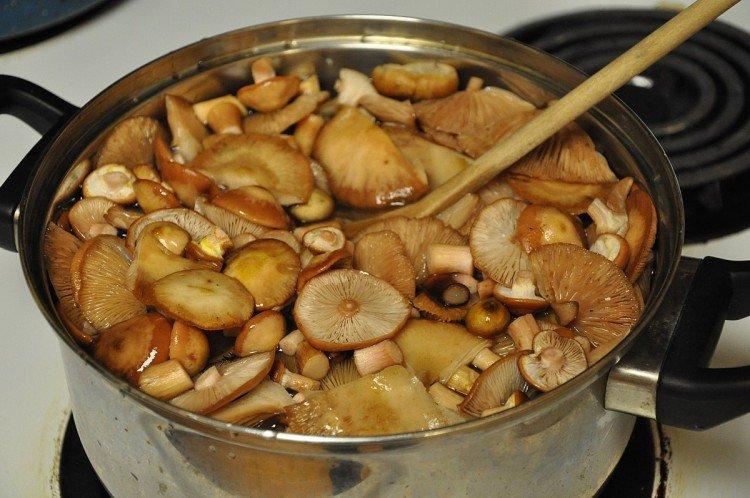 How and How Long to Boil Honey Mushrooms Before Frying