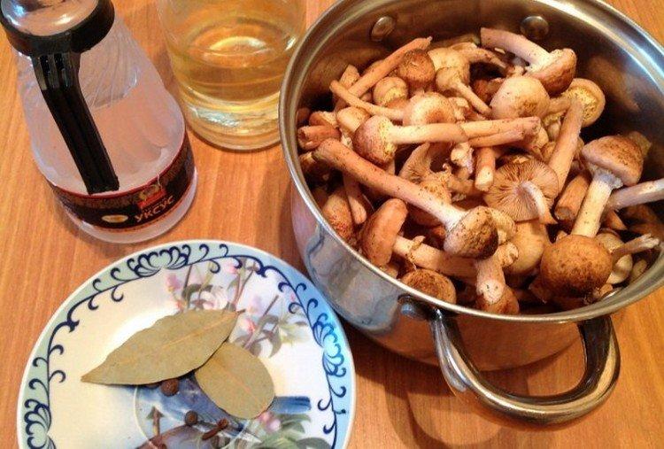 How to Boil Honey Mushrooms Before Salting and Marinating