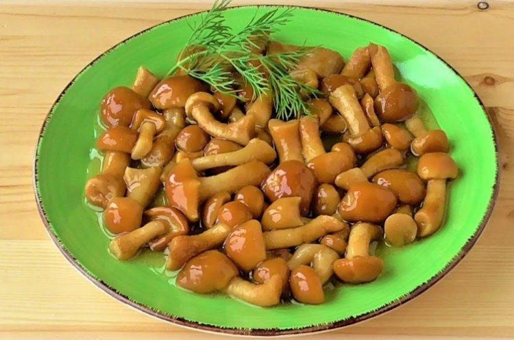 How and How Long to Boil Honey Mushrooms for Soup and Casseroles