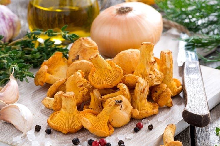 Cómo preparar los rebozuelos antes de cocinarlos