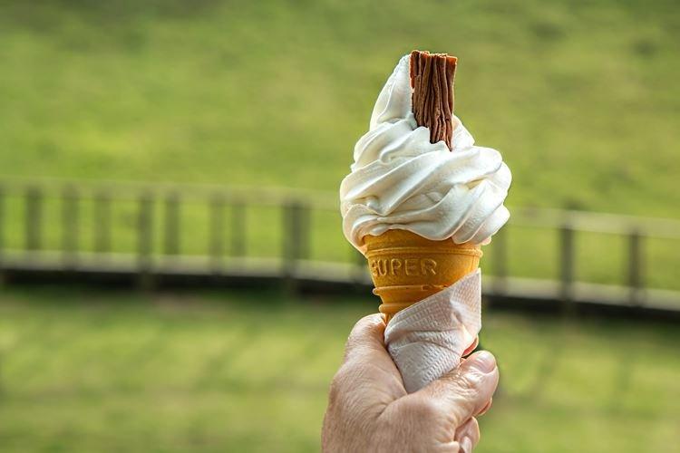 Creamy Ice Cream - Recipes to Make at Home